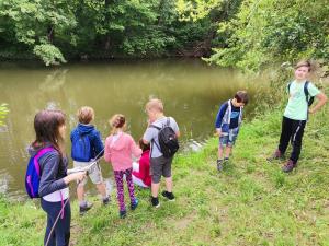 IMG_20200630_100915 (1)